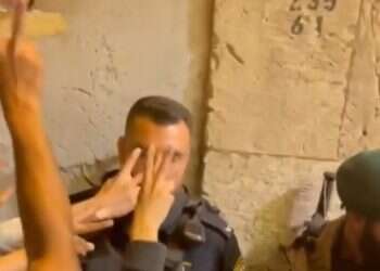 הטיקטוק חוזר להיות זירת הסתה מסוכנת