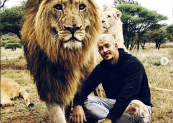 האינסטגרם גדוש ב"פינות ליטוף" וירטואליות