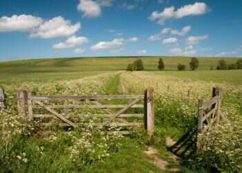 סודותיה של האהובה: המיסטיקה שבזוהר