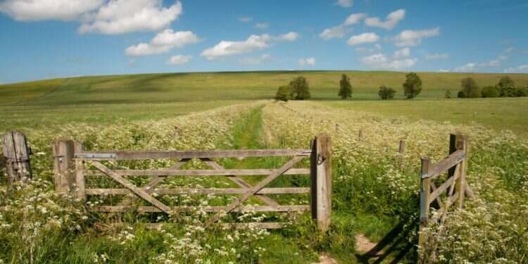 צילום: שאטרסטוק סודותיה של האהובה: המיסטיקה שבזוהר