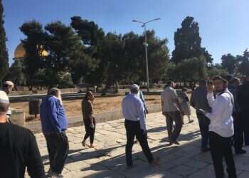 לאחר 19 ימי סגירה: הר הבית נפתח ליהודים