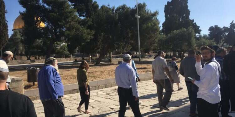 לאחר 19 ימי סגירה: הר הבית נפתח ליהודים