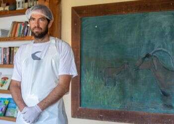 "זה לא מקצוע תיאורטי – בסוף כל יום יש לי גבינה ביד"