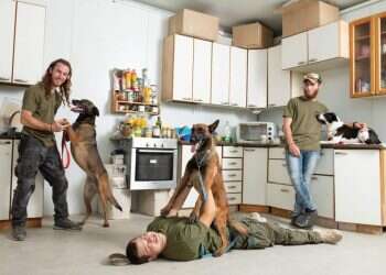 בדירה אחת: חברו הטוב ביותר