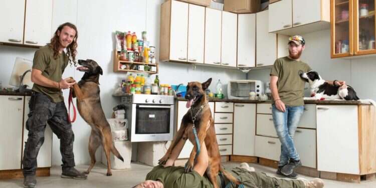 בדירה אחת: חברו הטוב ביותר