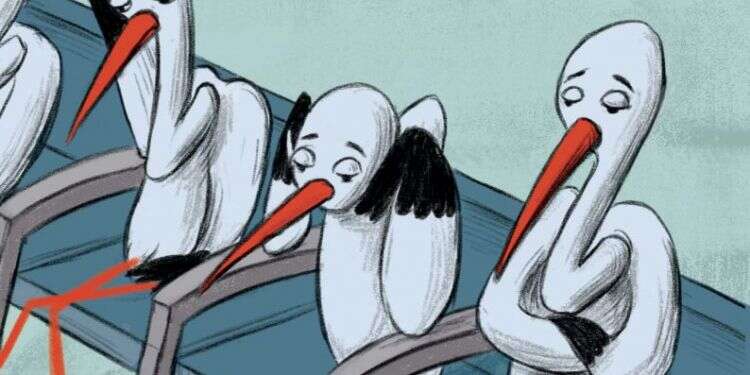 איור: מורן ברק המרדף שלי אחרי שני פסים כחולים