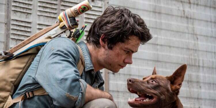 צילום: Jasin Boland