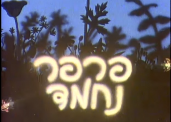 צילום מסך מיוטיוב.