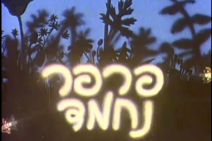 צילום מסך מיוטיוב.