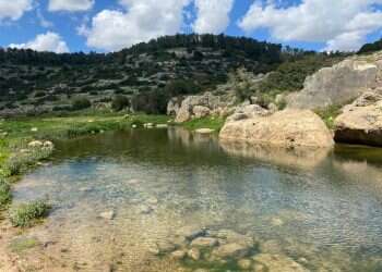 שיר על הדרך: הנחל הירוק כל ימות השנה