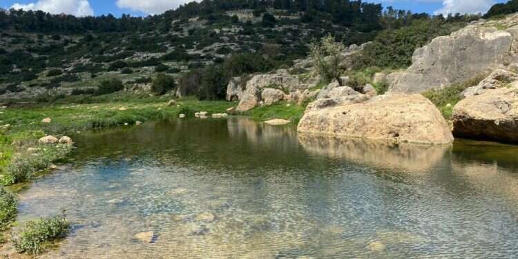 נחל קנה בשומרון. צילום: מורן אריאלי שיר על הדרך: הנחל הירוק כל ימות השנה