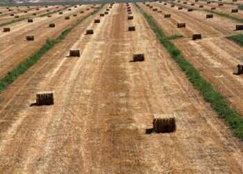 שיר על הדרך: העמק הוא החלום