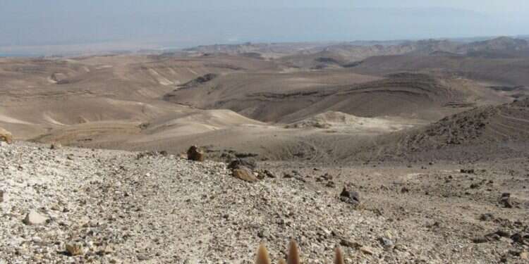 עם ישראל נולד במדבר. צילום: באדיבות דב פוניו