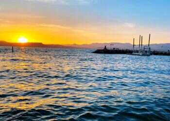 דובדבנים והופעות: המדריך למחזל"ש המתחיל