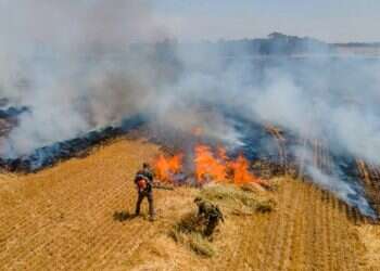 תקציבי העתק לביצור היישובים בקו התפר – מראים שאיבדנו משילות