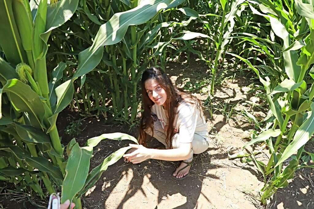 שום דבר לא נעלם ממנה. נועה ולצר בפעולה. צילום:יעל פרוינד אברהם