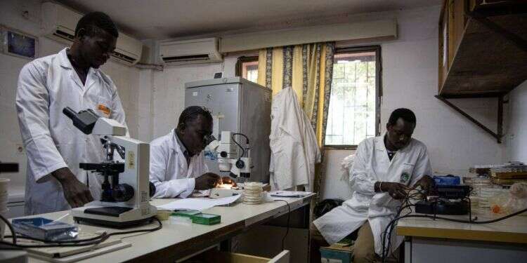 חוקרי מלריה בוואגאדוגו, בירת בורקינה־פאסו, 2009. צילום: AFP