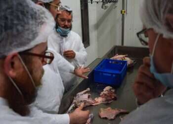 עו"ד שלומי הייזלר ימונה ליו"ר מטה התכנון הלאומי