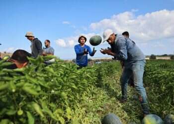 החל מהבוקר: יתאפשר יצוא סחורות מרצועת עזה