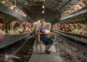 לגלות את ישראל דרך כורסה: מדור נודד חדש