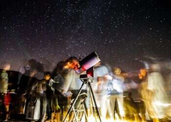 ההמלצות היומיות שירעננו לכם את הקיץ