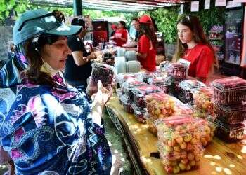 שר החקלאות: "לא חייבים לקנות כל פרי"