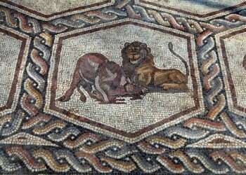 הציונות העלימה מהנוף את בעלי החיים? ההפך