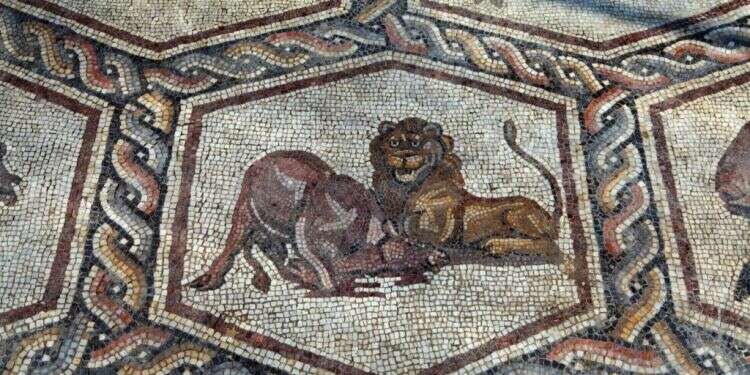 הציונות העלימה מהנוף את בעלי החיים? ההפך