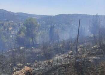 הושגה שליטה על השריפה בשכונת הר נוף בירושלים