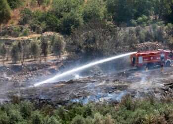שריפות סביב לה: מי מדליק את היערות הירושלמים?