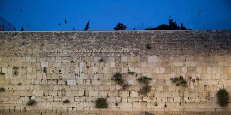 הכותל המערבי. צילום: הדס פרוש/פלאש90 י"ז בתמוז: יום של חשבון נפש חברתי