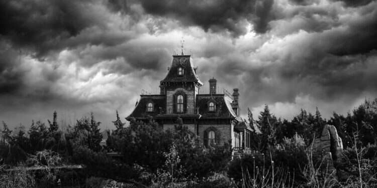 צילום: שאטרסטוק