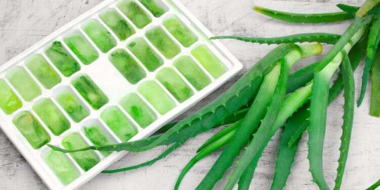 חיי הנצח אצלכם בגינה: נפלאות האלוורה