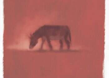 פרשת בלק: כוחות של קסמים, כישוף ונבואה קיימים בעולם