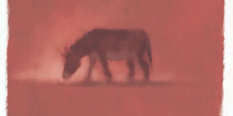 פרשת בלק: כוחות של קסמים, כישוף ונבואה קיימים בעולם