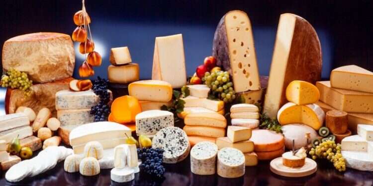 טרמינל של בחירות