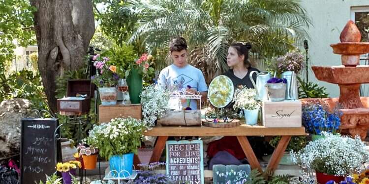 עמק האלה. צילום: יחצ אז מה נעשה השבוע?