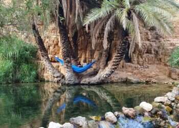 קרימינולוג, יס"מניק וחשוד ברצח מחבל נוח'בה: תשעה עצורים בחשד לתקיפת פלסטיני