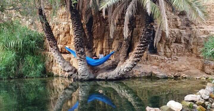 קרימינולוג, יס"מניק וחשוד ברצח מחבל נוח'בה: תשעה עצורים בחשד לתקיפת פלסטיני