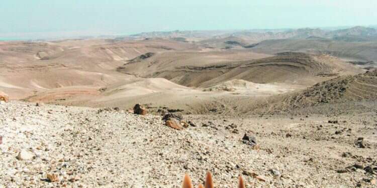 מדבר בעד עצמו: מפגש עם דב פוניו, שסלל לאנשי ערד את הדרך אל הישימון