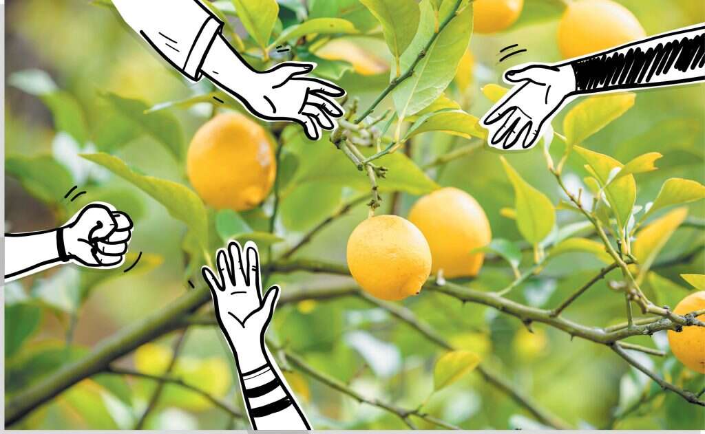 צילום ואיור: שאטרסטוק