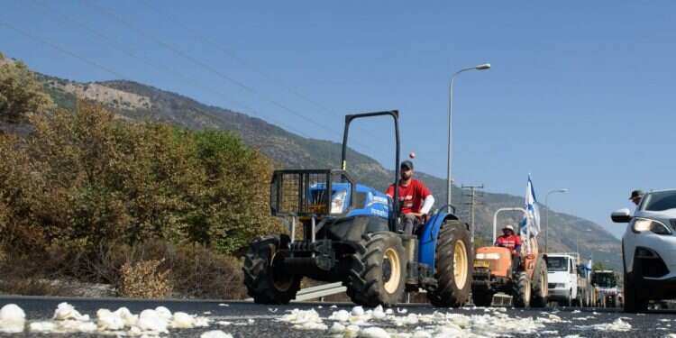 ביצים על הכביש במחאת החקלאים בגליל העליון, צילום: אייל מרגולין, ג'יני החקלאים יחריפו את המחאה: "לא נשקוט עד שהממשלה תמשוך את הרפורמה"