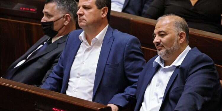 מנסור עבאס, איימן עודה וגדעון סער, צילום: AFP בצלאל סמוטריץ': "הממשלה צריכה להפנים: האופוזיציה היא חלק מהמשחק"