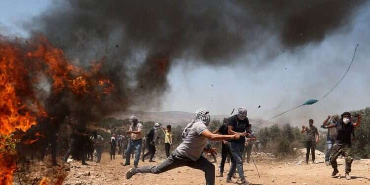 צילום: AFP חשד להצתה: שרפות בשומרון, בשילוב עם זריקות אבנים