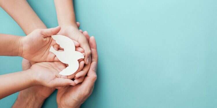 הריעו רק שלום: באיזה מקרה צריך להגיב בקנאות ובאיזה בפיוס?