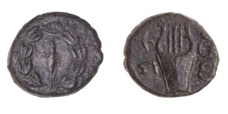 מטבעות מימי בר כוכבא שהתגלו במזרח בנימין. צילום: טל רוגובסקי מטבעות נדירים מימי מרידות היהודים ברומאים נמצאו בבנימין