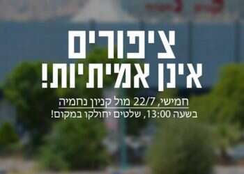 "ציפורים אינן אמיתיות": בקריית שמונה יפגינו נגד ציפורים רובוטיות