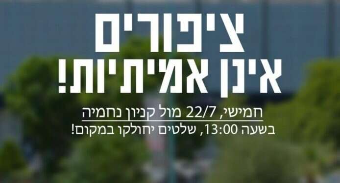 עמוד הפייסבוק של Birds Aren't Real "ציפורים אינן אמיתיות": בקריית שמונה יפגינו נגד ציפורים רובוטיות