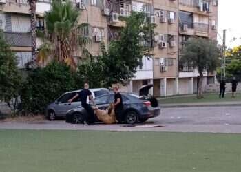 השחיטות הפיראטיות בחג הקורבן: "לא נעשה דבר כדי להעניש את העבריינים"