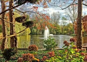 אלמנטים עיצוביים בהקמת גינות יוקרה